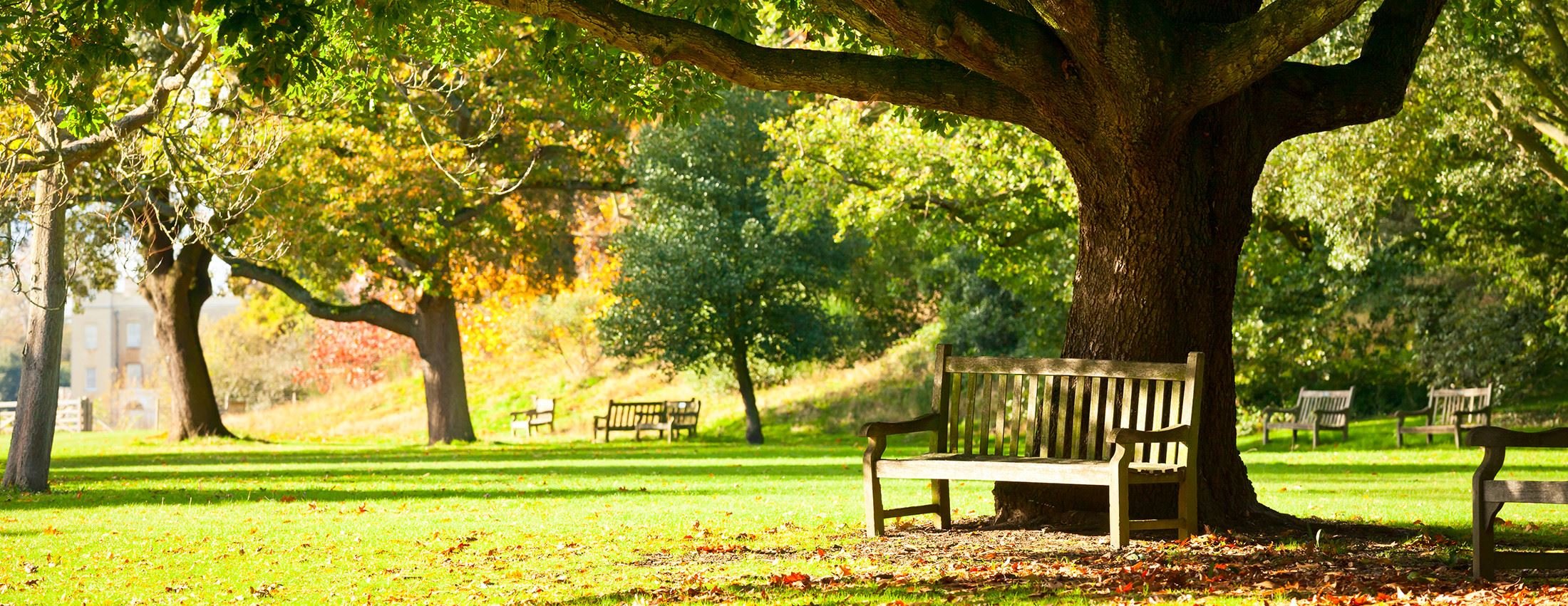 🌳 이하 공원(이하 코엔) 이미지 8